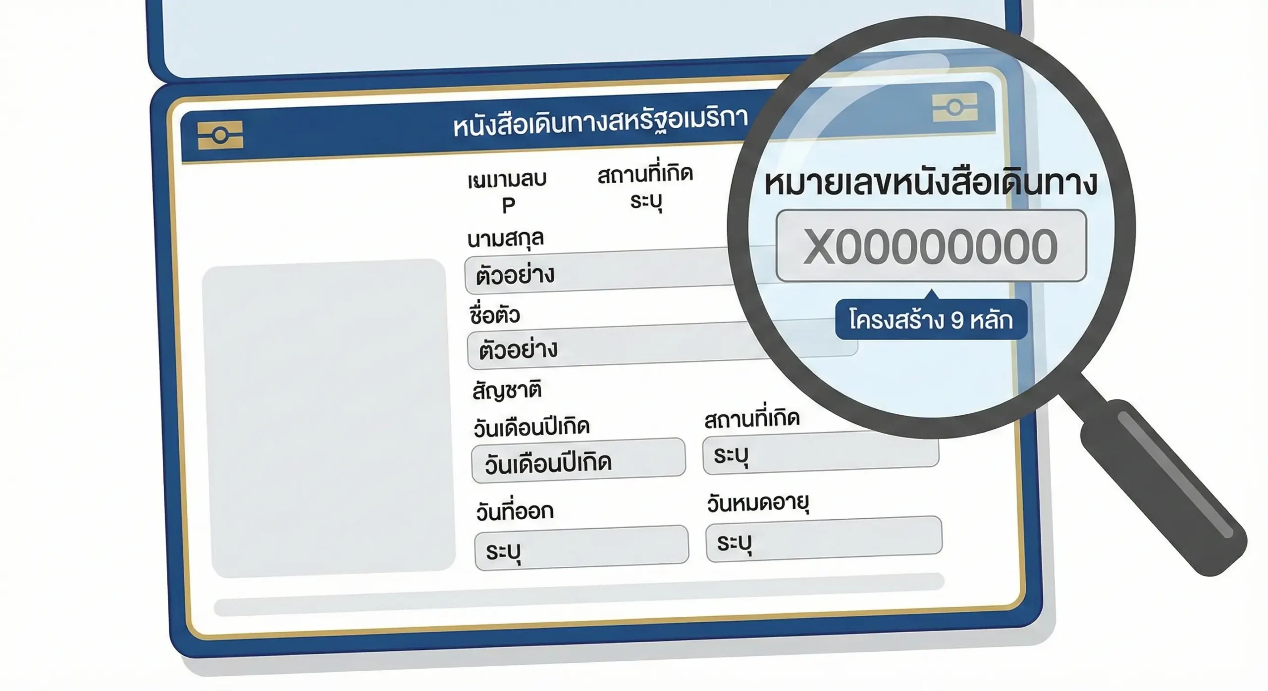 一张清晰的教育性信息图风格图片，展示了美国护照个人资料页的布局示意图。重点突出右上角的护照号码区域，使用占位符（如X00000000）来演示9位数字的标准格式。